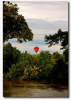 Balloon Safari